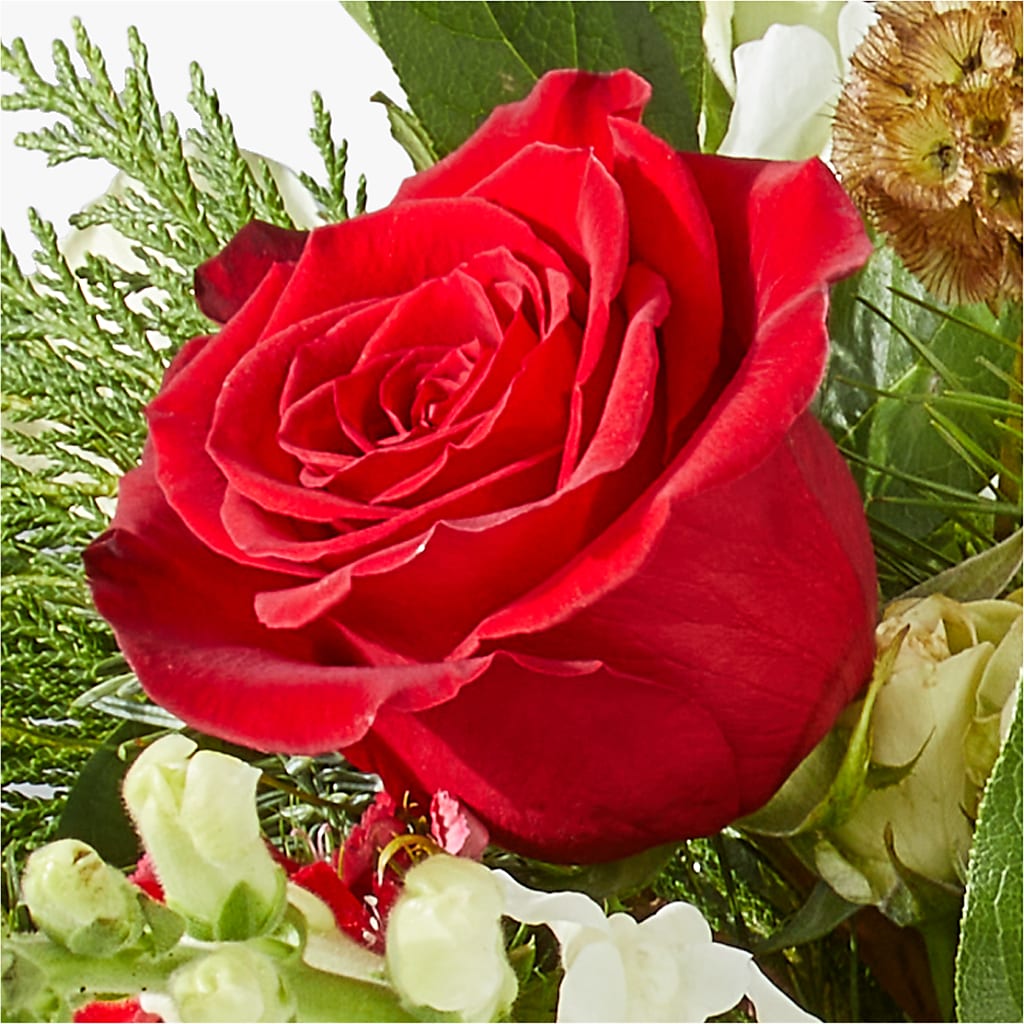 Deck the Halls Bouquet –  Awesome Blossom Florist, San Antonio TX