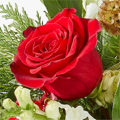 Deck the Halls Bouquet –  Awesome Blossom Florist, San Antonio TX