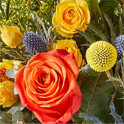 Disco Bouquet –  Awesome Blossom Florist, San Antonio TX