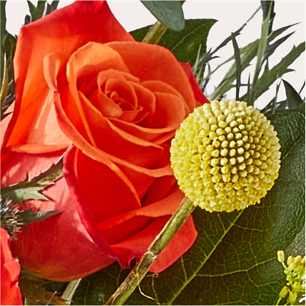 Disco Bouquet –  Awesome Blossom Florist, San Antonio TX