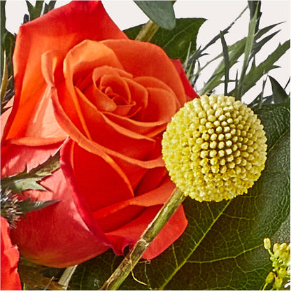 Disco Bouquet –  Awesome Blossom Florist, San Antonio TX