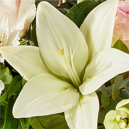 Ballet Slippers Bouquet –  Awesome Blossom Florist, San Antonio TX