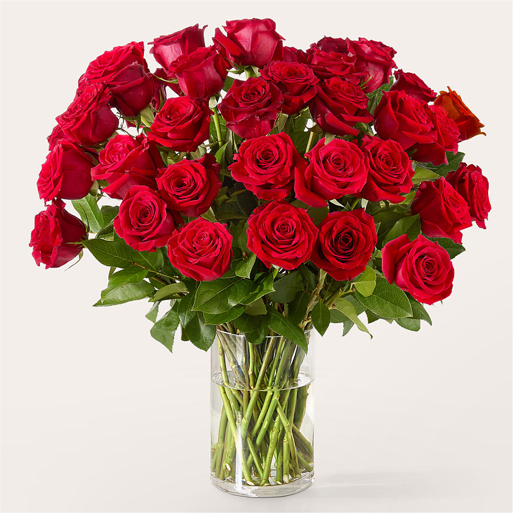 The One Red Rose Bouquet –  Awesome Blossom Florist, San Antonio TX