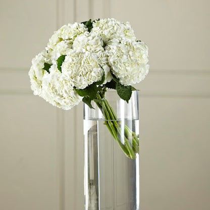 White Hydrangea Hand-Tied Bouquet –  Awesome Blossom Florist, San Antonio TX