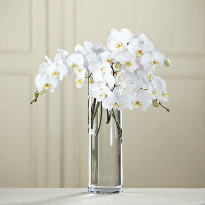 White Phalaenopsis Bouquet –  Awesome Blossom Florist, San Antonio TX