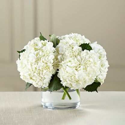 White Hydrangea Bouquet –  Awesome Blossom Florist, San Antonio TX
